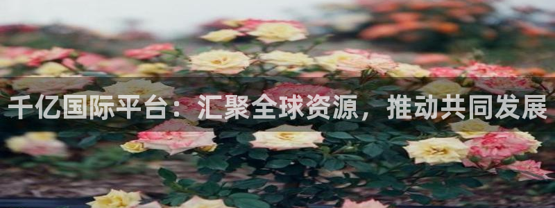 摩根娱乐3登陆：千亿国际平台：汇聚全球资源，推动共同发展