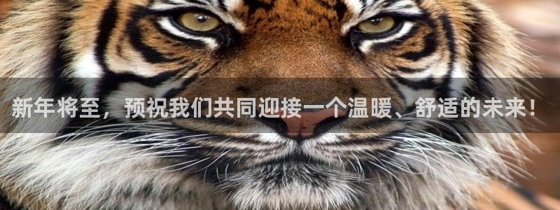 摩根娱乐是什么：新年将至，预祝我们共同迎接一个温暖、舒适的未来！