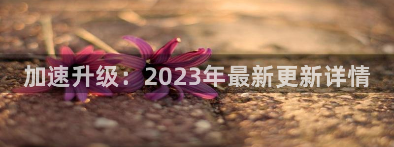摩根娱乐麻将胡了：加速升级：2023年最新更新详情