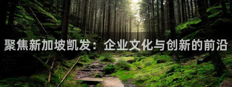 摩根娱乐平台官方网站：聚焦新加坡凯发：企业文化与创新的前沿