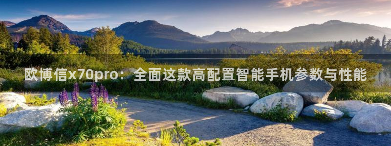 摩根娱乐集团：欧博信x70pro：全面这款高配置智能手机参数与性能