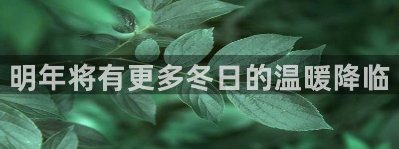 摩根娱乐：明年将有更多冬日的温暖降临