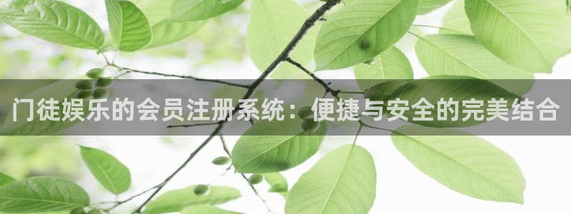 摩根娱乐分红代理计划：门徒娱乐的会员注册系统：便捷与安全的完美结合