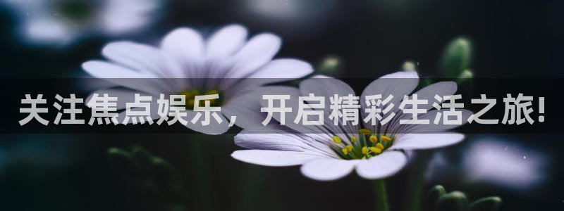 摩根娱乐注册网站app：关注焦点娱乐，开启精彩生活之旅!