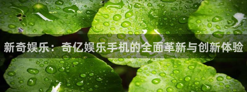 摩根娱乐网站登录流程：新奇娱乐：奇亿娱乐手机的全面革新与创新体验