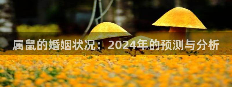 摩根娱乐平台开户：属鼠的婚姻状况：2024年的预测与分析