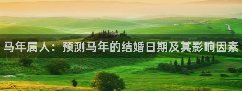 摩根娱乐体育代理申请流程：马年属人：预测马年的结婚日期及其影响因素