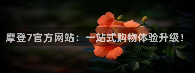 摩根娱乐登录：摩登7官方网站：一站式购物体验升级！
