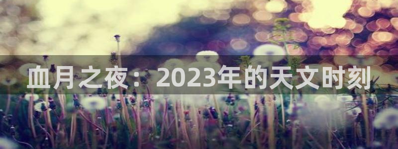 东莞市摩根娱乐电子科技有限公司：血月之夜：2023年的天文时刻