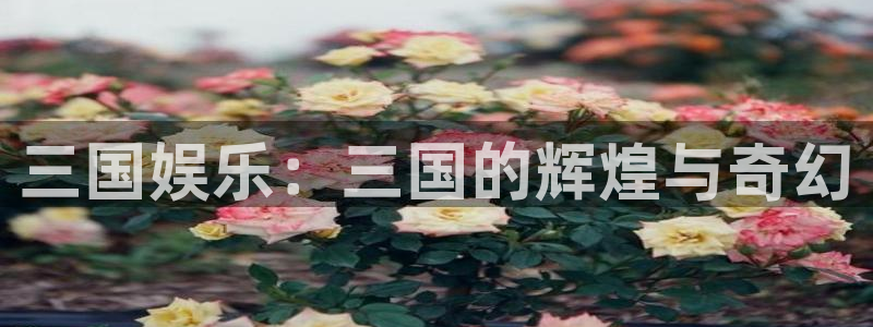 摩根娱乐4：三国娱乐：三国的辉煌与奇幻