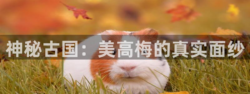 摩根娱乐注册网站：神秘古国：美高梅的真实面纱