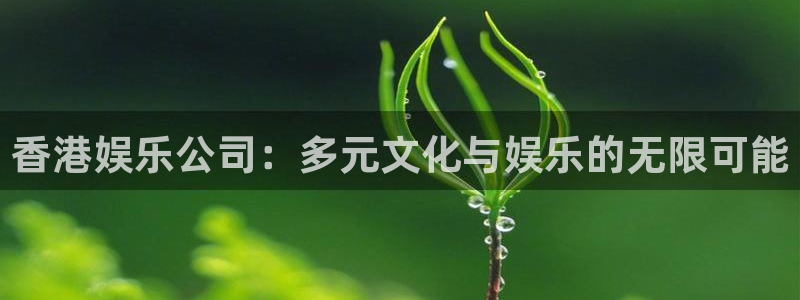 摩根娱乐股份：香港娱乐公司：多元文化与娱乐的无限可能