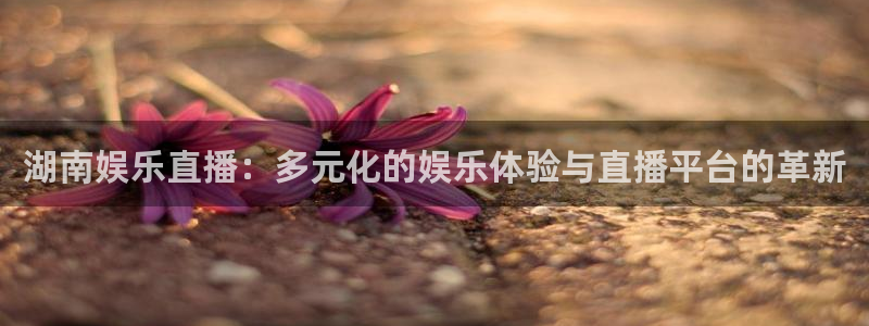 摩根娱乐账号注册：湖南娱乐直播：多元化的娱乐体验与直播平台的革新