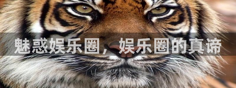 摩根娱乐体育凯捷登陆：魅惑娱乐圈，娱乐圈的真谛