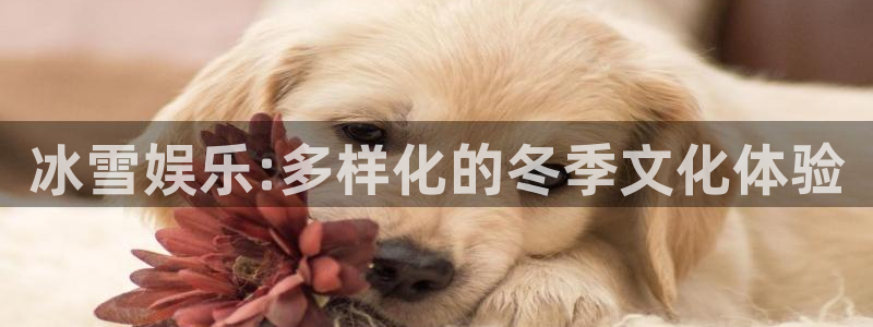 摩根娱乐注册网页版：冰雪娱乐:多样化的冬季文化体验