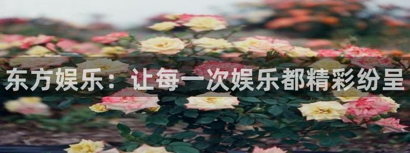 摩根娱乐官网下载