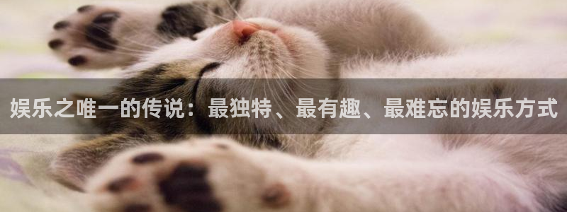 摩根娱乐f凯捷平台在线注册：娱乐之唯一的传说：最独特、最有趣、最难忘的娱乐方式