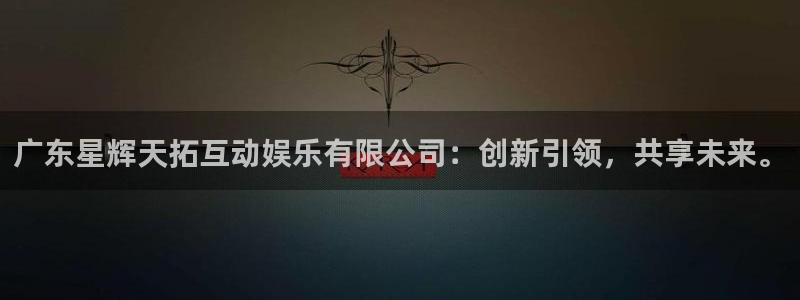 摩根娱乐app：广东星辉天拓互动娱乐有限公司：创新引领，共享未来。