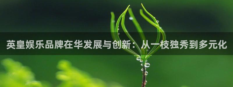 摩根娱乐娱乐：英皇娱乐品牌在华发展与创新：从一枝独秀到多元化