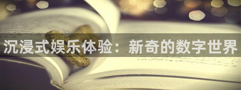 摩根娱乐体育凯捷平台主管