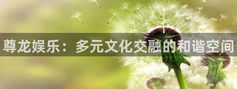 摩根娱乐2平台：尊龙娱乐：多元文化交融的和谐空间