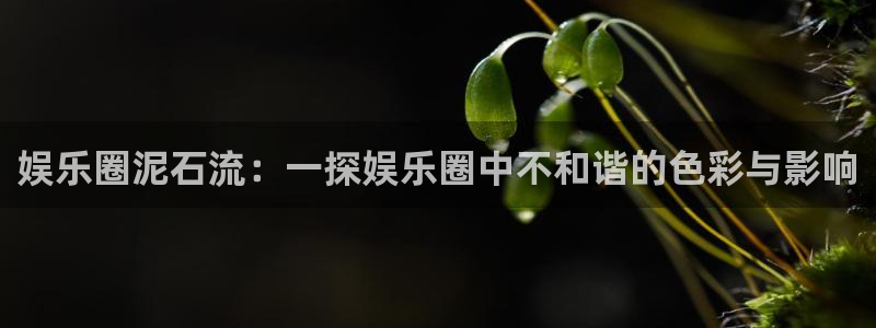 摩根娱乐下载并安装：娱乐圈泥石流：一探娱乐圈中不和谐的色彩与影响