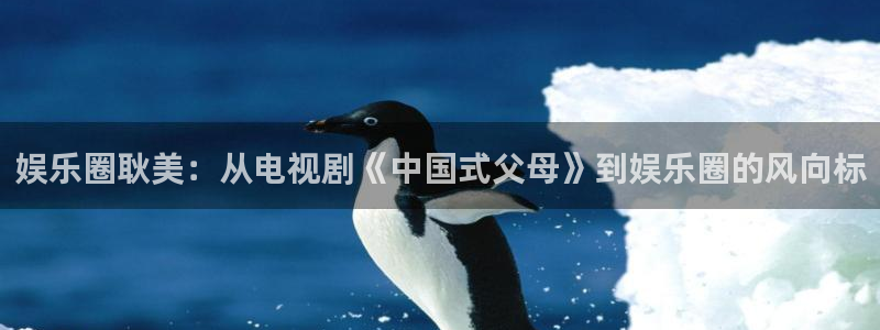 摩根娱乐游app：娱乐圈耿美：从电视剧《中国式父母》到娱乐圈的风向标