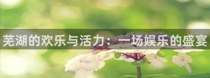 摩根娱乐体育免费注册入口：芜湖的欢乐与活力：一场娱乐的盛宴
