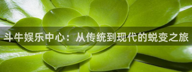 摩根娱乐3：斗牛娱乐中心：从传统到现代的蜕变之旅