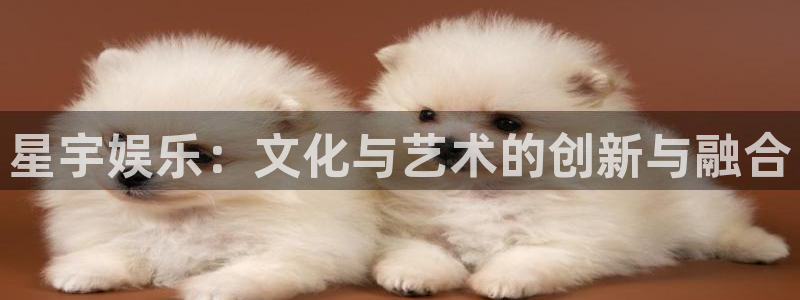 摩根娱乐4：星宇娱乐：文化与艺术的创新与融合