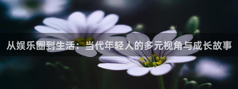 摩根娱乐2注册：从娱乐圈到生活：当代年轻人的多元视角与成长故事