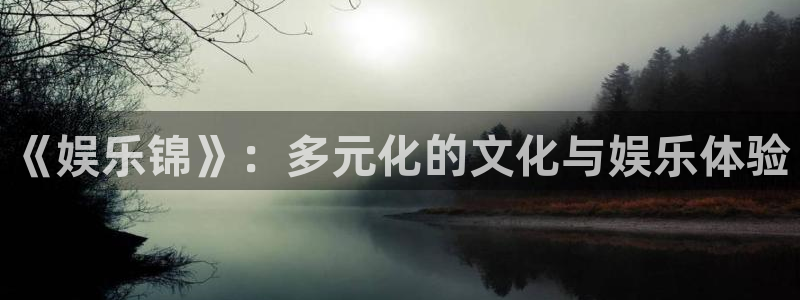 摩根娱乐集团股票：《娱乐锦》：多元化的文化与娱乐体验