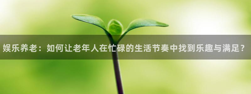 摩根娱乐体育代理申请流程：娱乐养老：如何让老年人在忙碌的生活节奏中找到乐趣与满足？