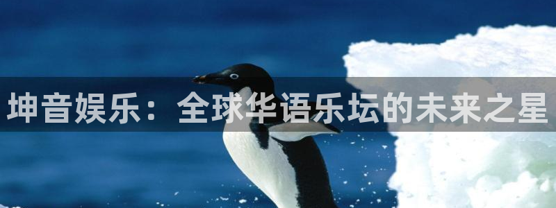 摩根娱乐是啥：坤音娱乐：全球华语乐坛的未来之星