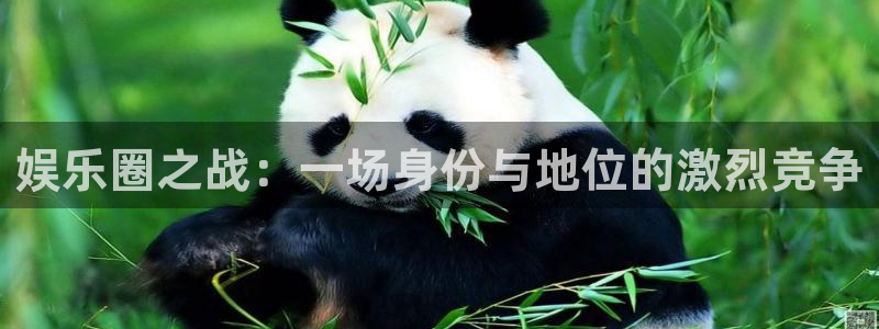 摩根娱乐体育热门赛事有哪些：娱乐圈之战：一场身份与地位的激烈竞争